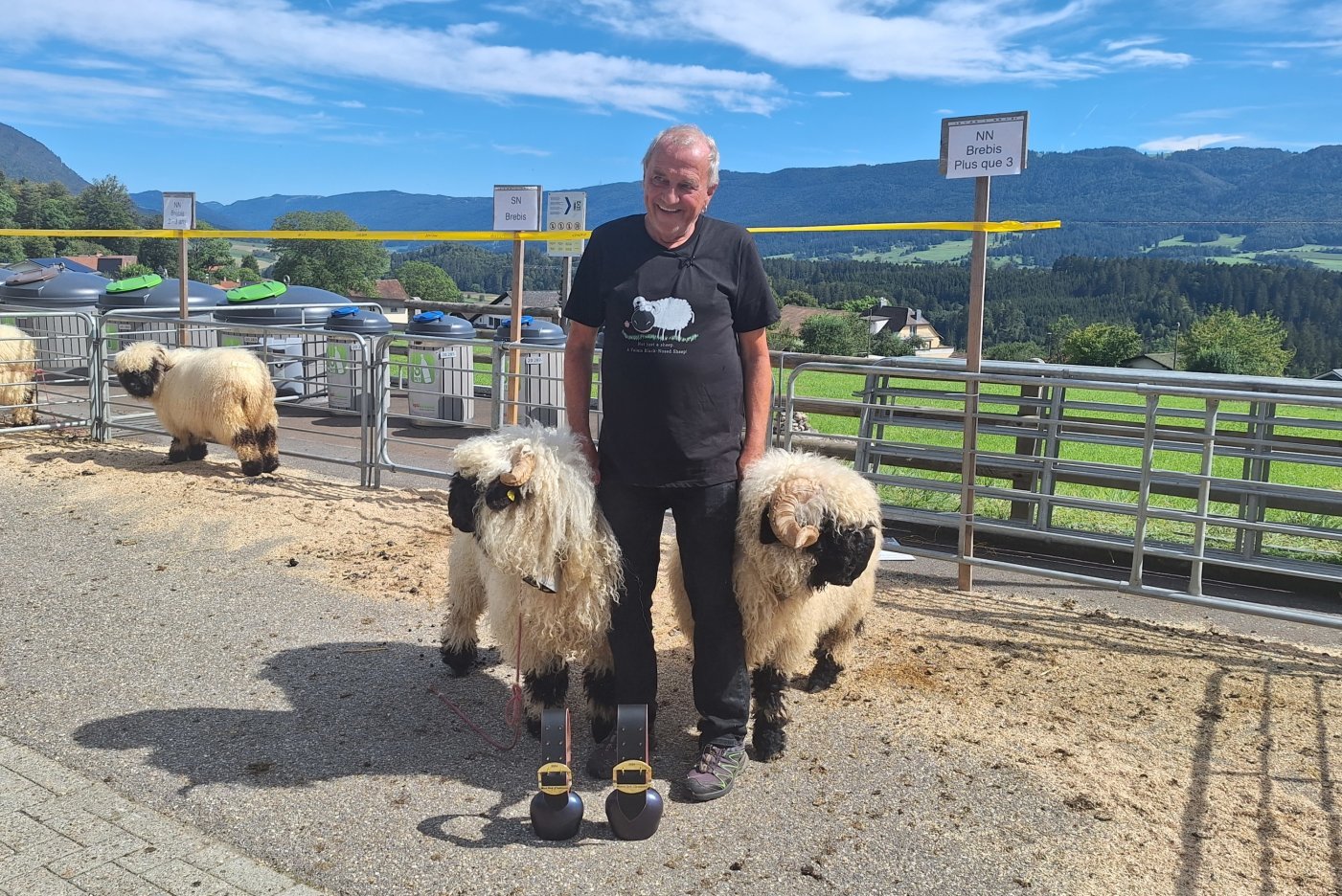 concours nez noir Arc Jurassien de l'association Nez Noir Grand Chasseral dans le cadre du concours d'automne de l'association Ovins Jura bernois, ce samedi 7 septembre au Fuet. Ici le vainqueur Thierry Kneuss avec Gwynedd (àg.) et Cicero , élus miss et mister nez noir arc jurassien